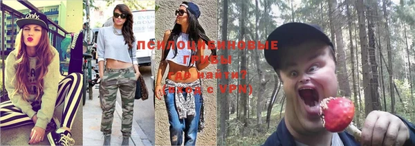 спайс Алзамай
