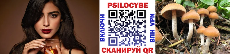 Псилоцибиновые грибы GOLDEN TEACHER  даркнет сайт  Протвино 