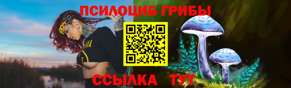Галлюциногенные грибы Psilocybine cubensis  Псилоцибиновые грибы мухоморы  Вход с VPN  Протвино 